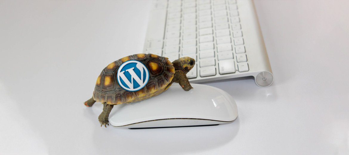 slow wordpress website 1