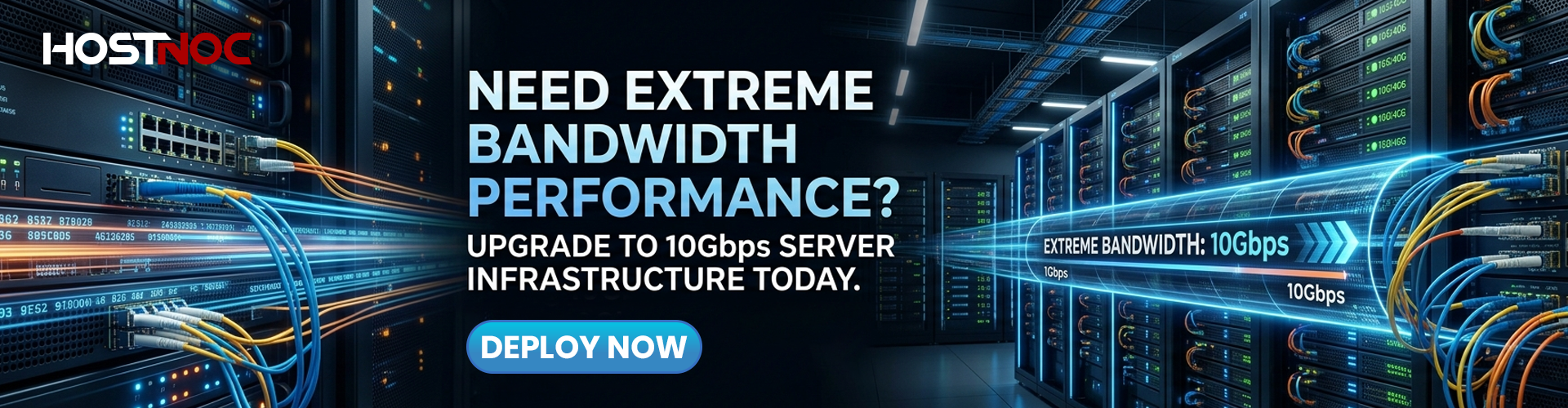 10gbps dedicated server